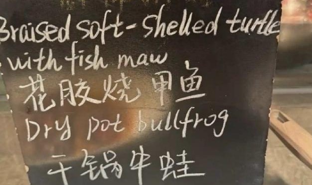 中欧体育-汤森德再次为去年在中国赛季的不当言论找借口